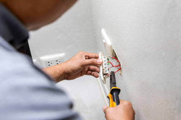 Best Electric Panel Repair  in Whiteland, IN